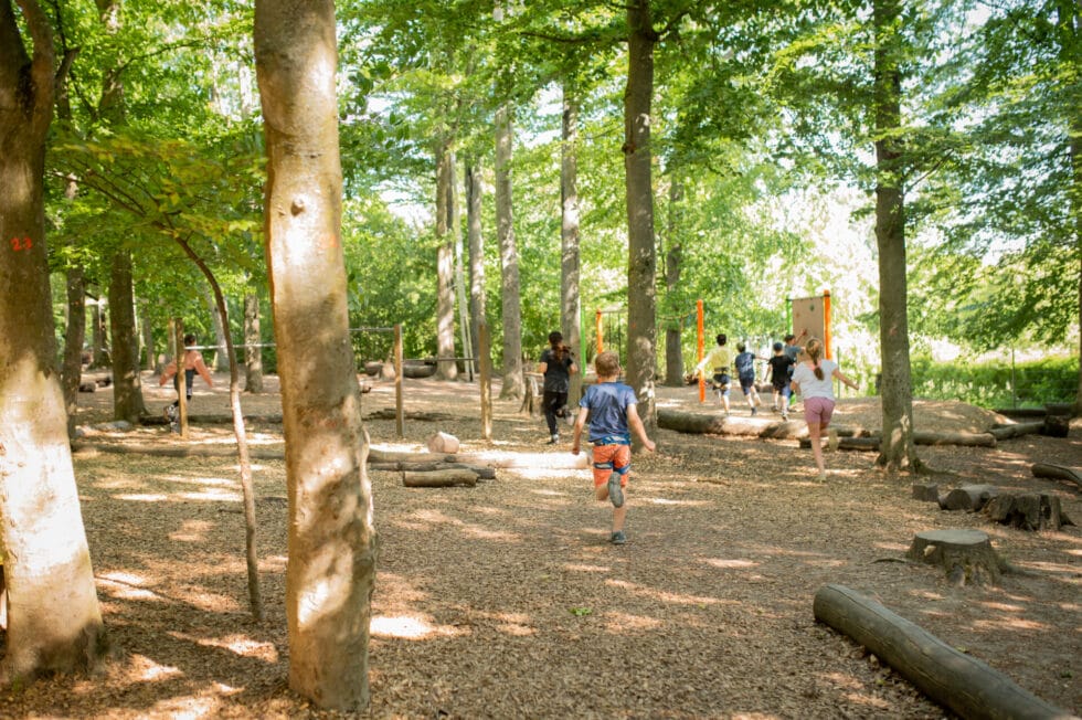  Startseite » Montessori Schule Wiesbaden Bildidee 