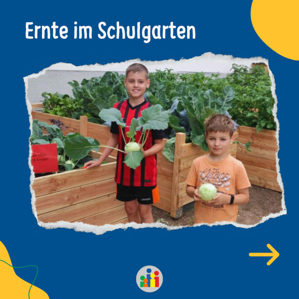  Harvest in the school garden » Montessori Schule Wiesbaden Bildidee 